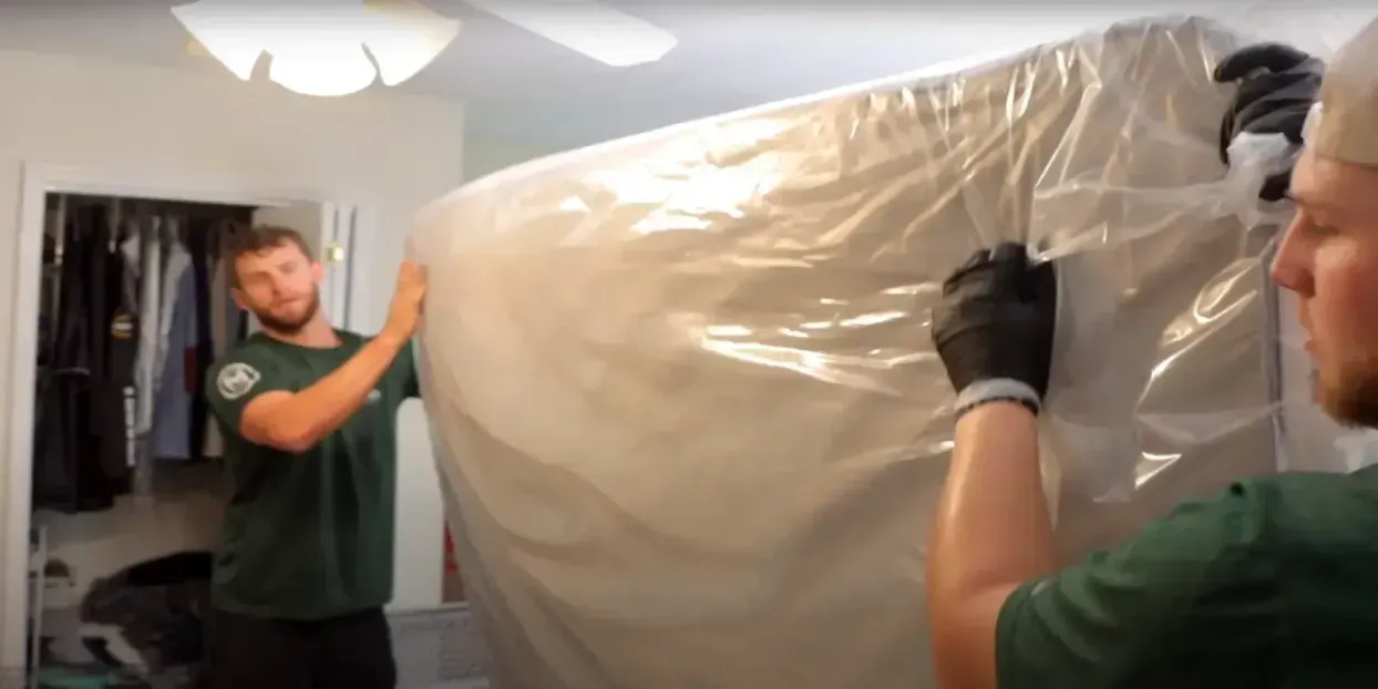 Professional movers carrying boxes